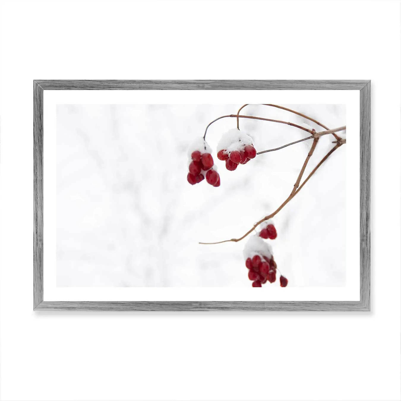 Christmas Berries Wall Art Print