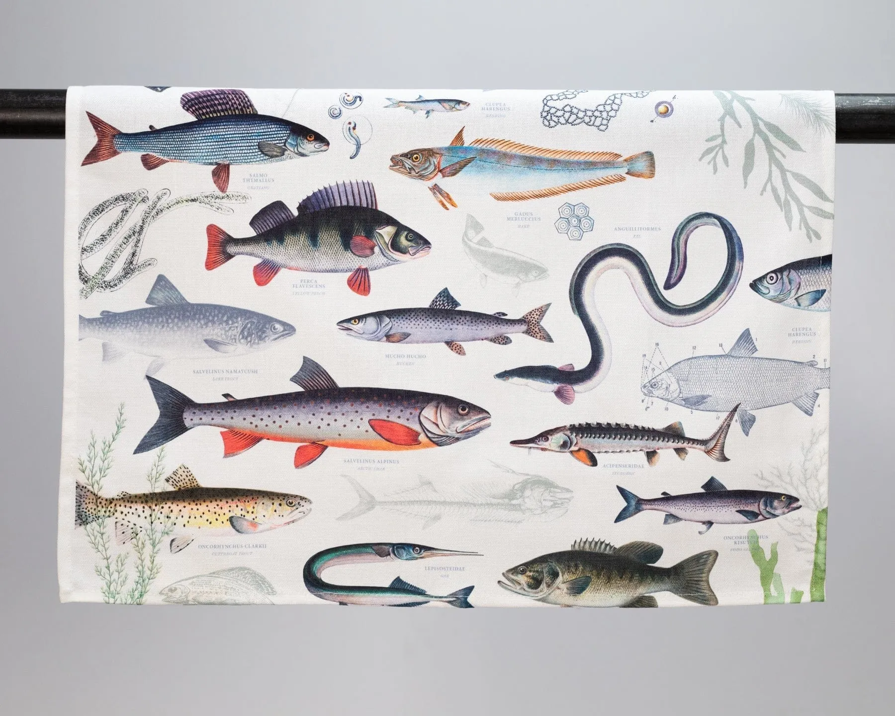 Freshwater Fish Printed Tea Towel