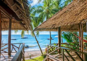 Philippines February 4-14, 2026 at Atlantis Dive Resorts in Puerto Galera and Dumaguete